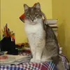 Отзыв от Ангелина Яковлева